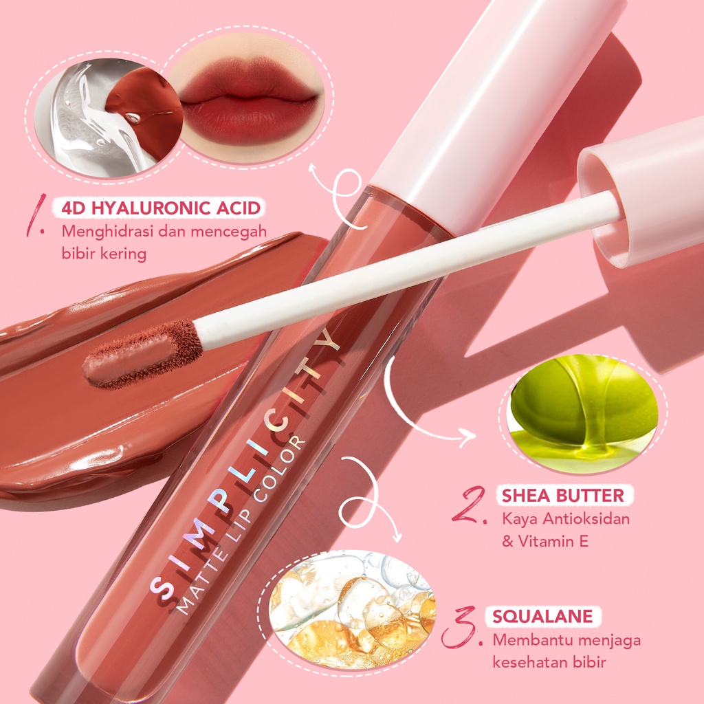 YOU Simplicity Matte Lip Color R879 Nice One