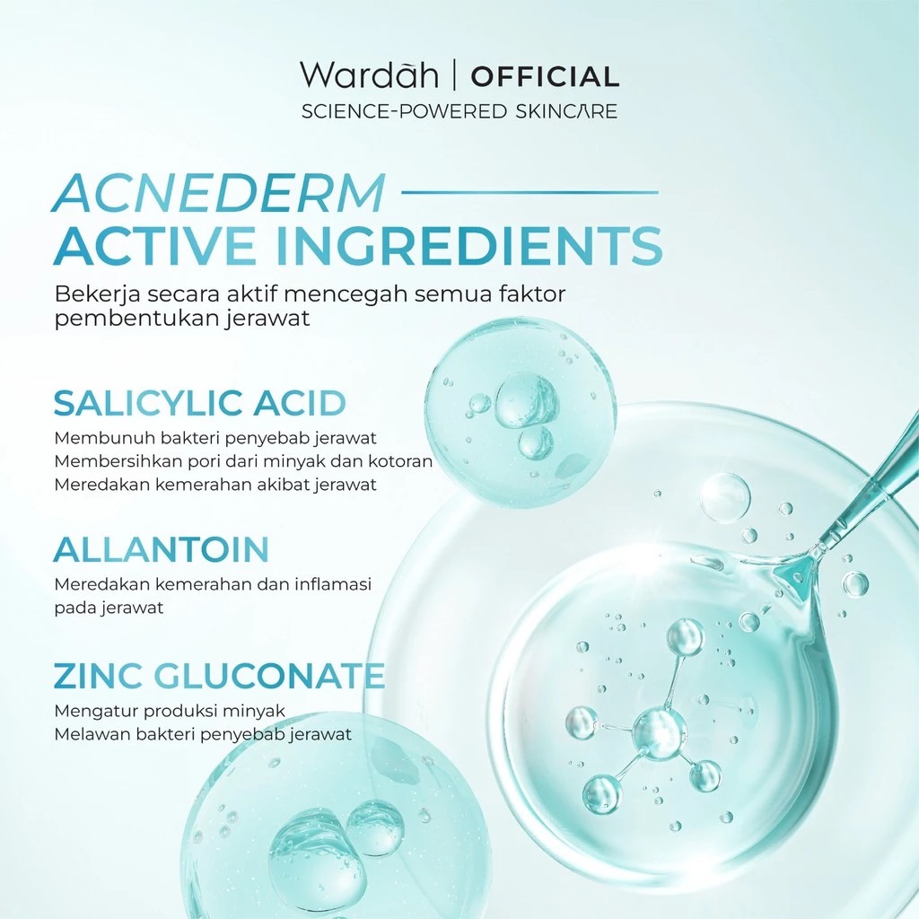 Wardah Acnederm Salicylic Acid Zinc Acne Clearing Low pH Foaming Cleanser 100ml