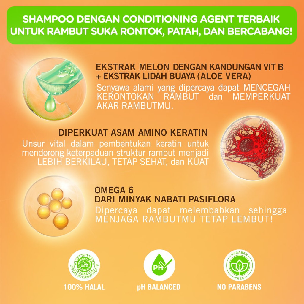Makarizo Hair Energy Conditioning Shampoo Fibertherapy 330ml Botol - Aloe & Melon (Hijau)
