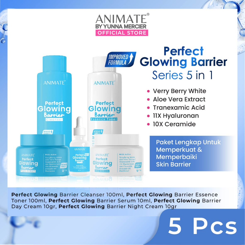 Paket Animate Glowing Barrier Series 5in1 (Biru)