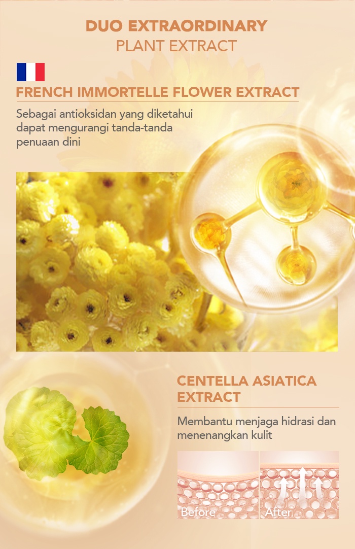 YOU Noutriwear+ Flawless Cushion Foundation REFILL - N508 Medium Beige