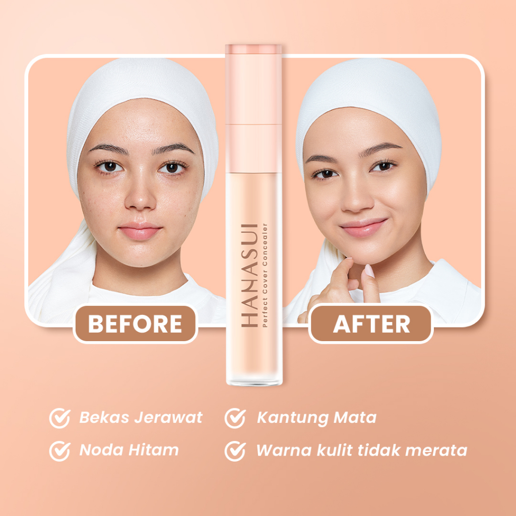 Hanasui Perfect Cover Concealer 4.5gr - 01 Fair