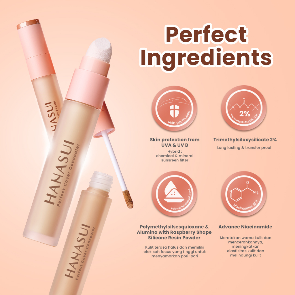 Hanasui Perfect Cover Concealer 4.5gr - 03 Caramel