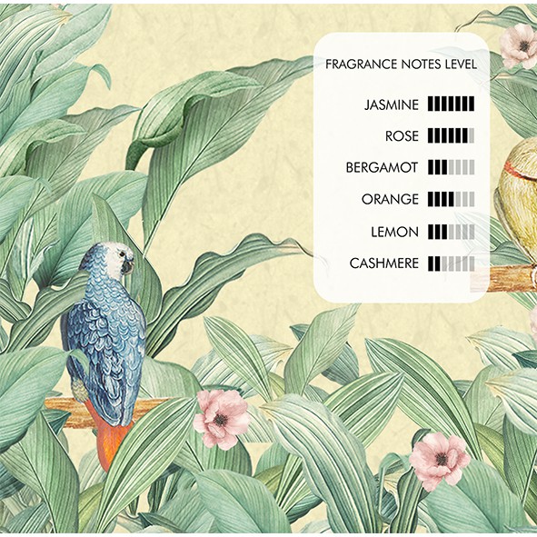 Careso Body Fragrance 100ml - Jasmine Blossoms