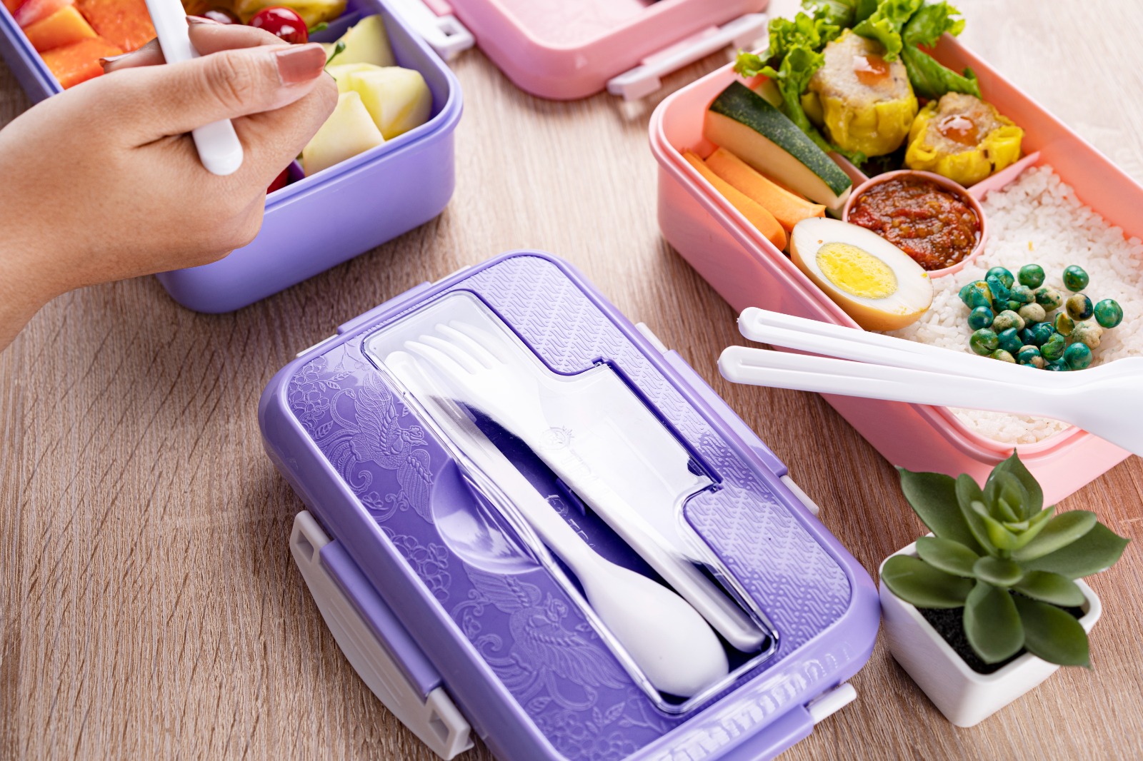 TRI J - Lunch Box 4in1 + Sendok dan Garpu