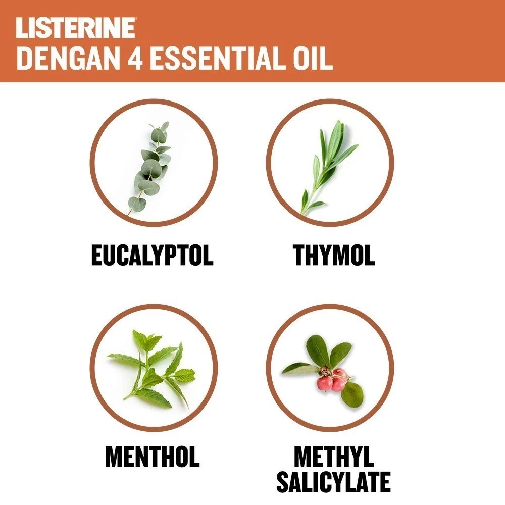 Listerine Antiseptic Mouthwash - Siwak 100ml