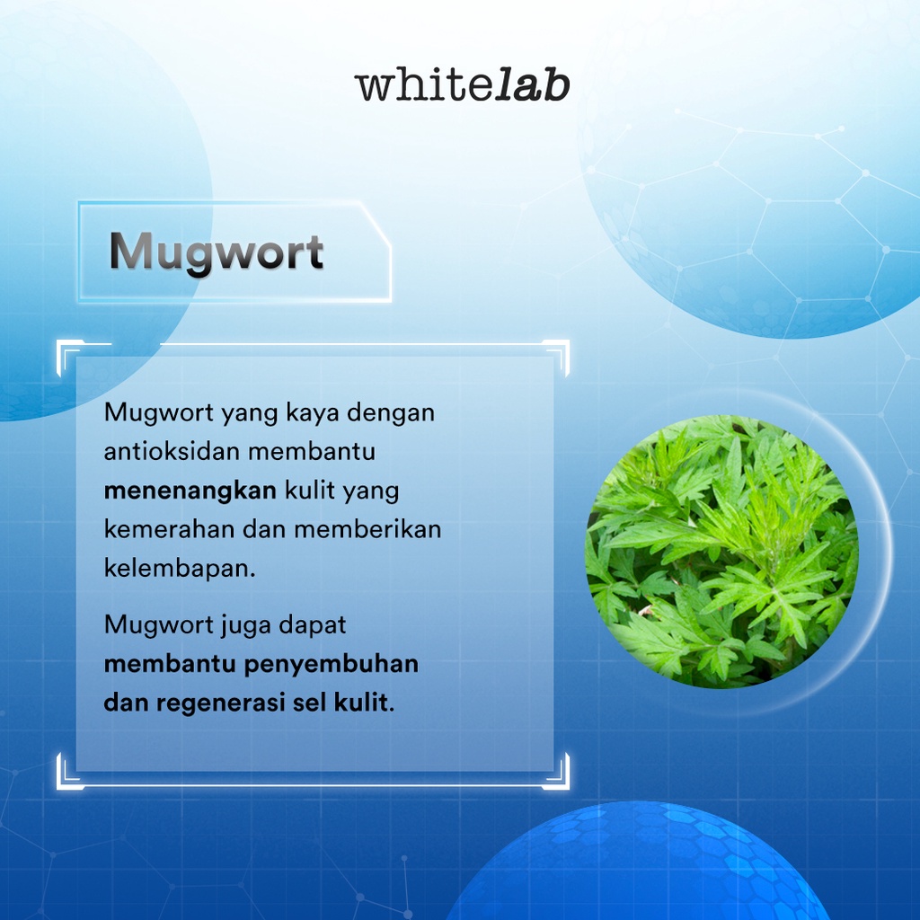 WHITELAB Cera-Mug Barrier Moisturizing Gel 20gr