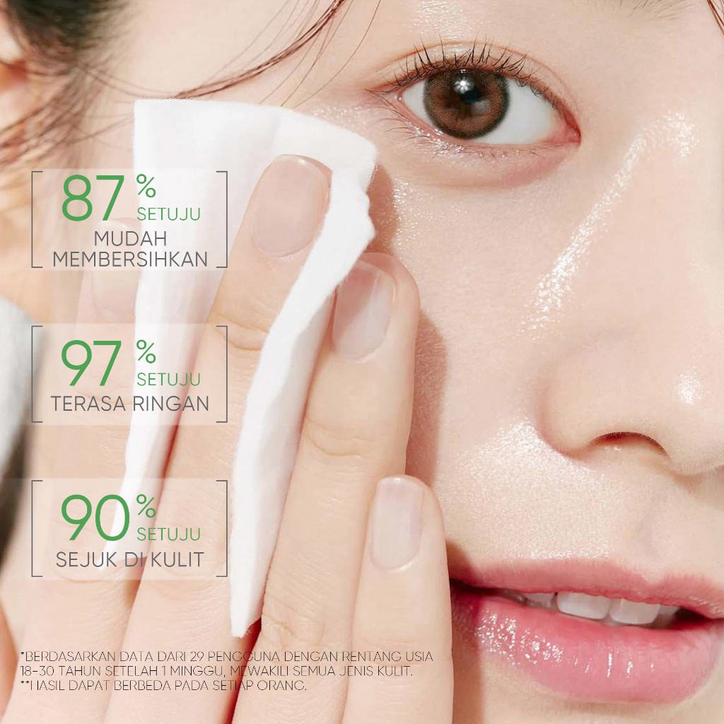 Skintific Mugwort Purifying Micellar Water 300ml